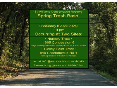 Spring Trash Bash 2024 poster better